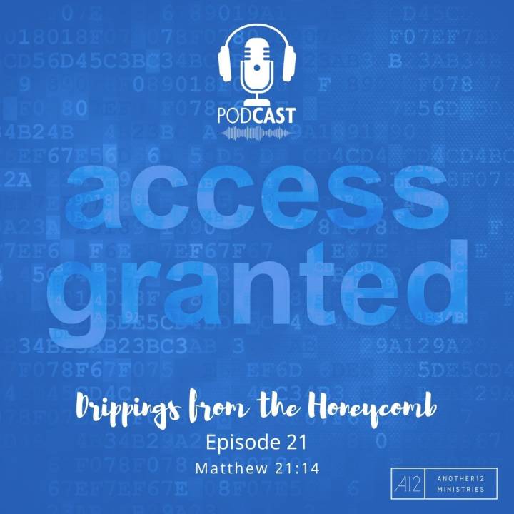 Access Granted! (Matthew 21:14)