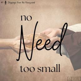 No Need Too Small (Matthew 15:32)