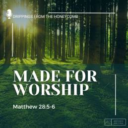 Made for Worship (Matthew 28:5-6)