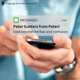 Look Beyond the Fear and Confusion (1 Peter 4:7)