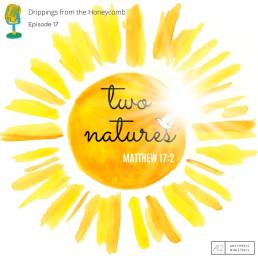 Two Natures (Matthew 17:2)