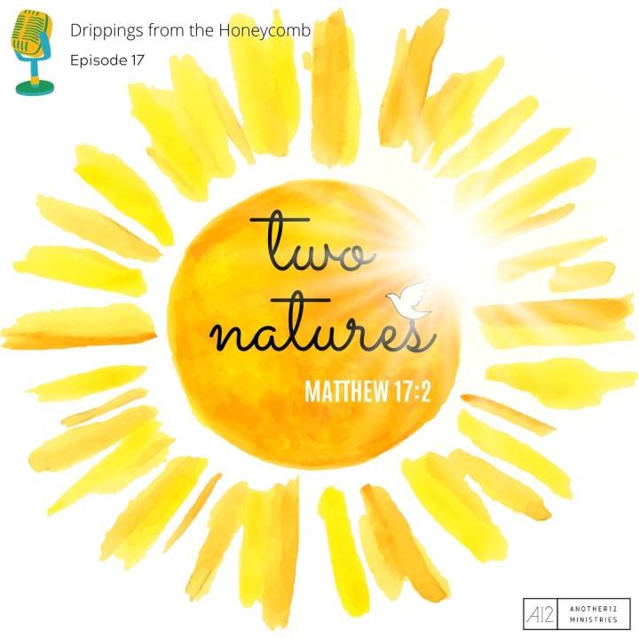 Two Natures (Matthew 17:2)