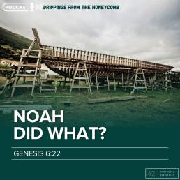 Noah did what? (Genesis 6:22)