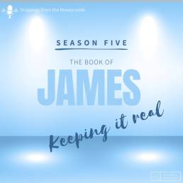 Season 5 - Keeping it Real
